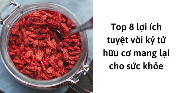 8-loi-ich-tuyet-voi-cua-ky-tu-huu-co