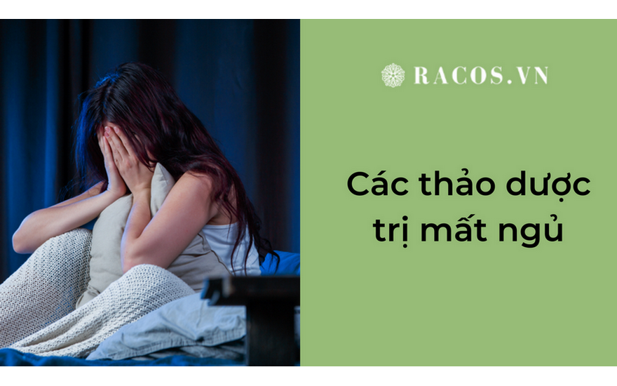 Các thảo dược trị mất ngủ