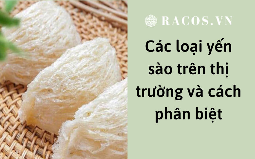 cac-loai-yen-sao-va-cach-phan-biet