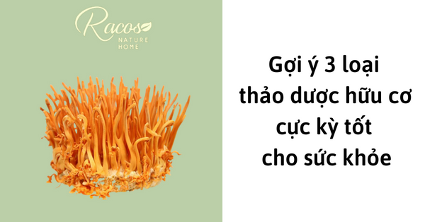 goi-y-3-loai-thao-duoc-huu-co-cuc-ky-tot-cho-suc-khoe